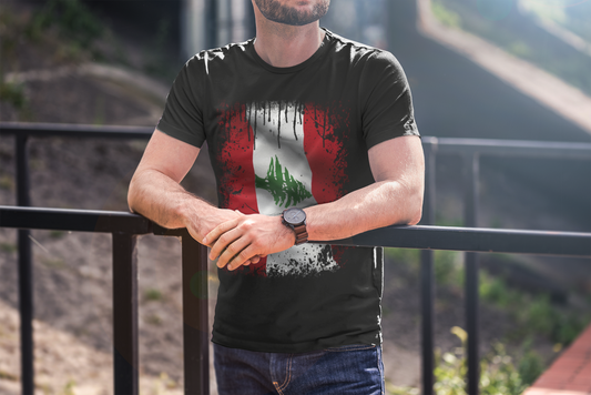 Timeless Resilience: Lebanon's Flag in Distressed Style